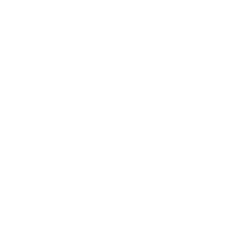 bullseye icon